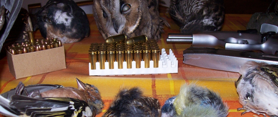 <span>L'EITAL</span> combatte le zoomafie